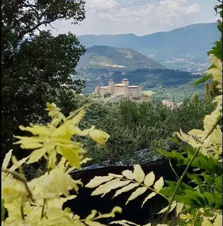 Colleulivo Lejlighed